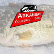 2017 Arkansas Collegiate Series Championship Results