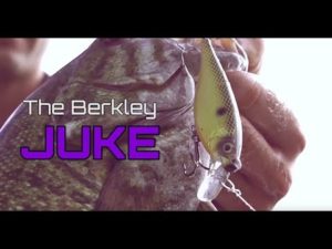 Berkley 2017 Bait Fireline_3