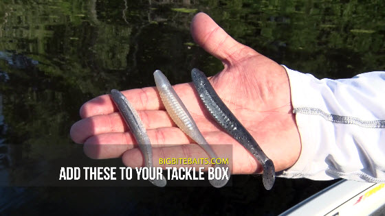 3 Ways to Fish Big Bite Baits Cane Thumper - Collegiate Bass