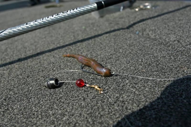 Big Bite Baits: Buzz Through Fall Fishing - Collegiate Bass Championship