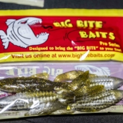 Big Bite Baits Partners with the ACA and Bass Pro Shops Collegiate Bass  Fishing Series in 2019 - Collegiate Bass Championship