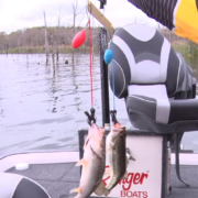 Culling Fish Has Never Been Easier - Collegiate Bass Championship
