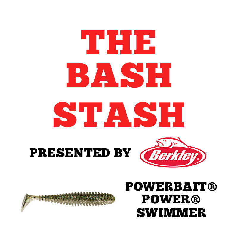The Bash Stash: PowerBait® Swimbaits for Fall Fishing - Collegiate Bass  Championship