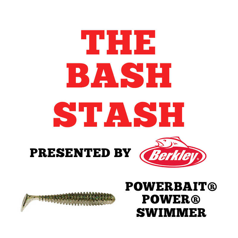 https://www.collegiatebasschampionship.com/wp-content/uploads/2019/09/BASH-STASH-POWER-SWIMMER.png