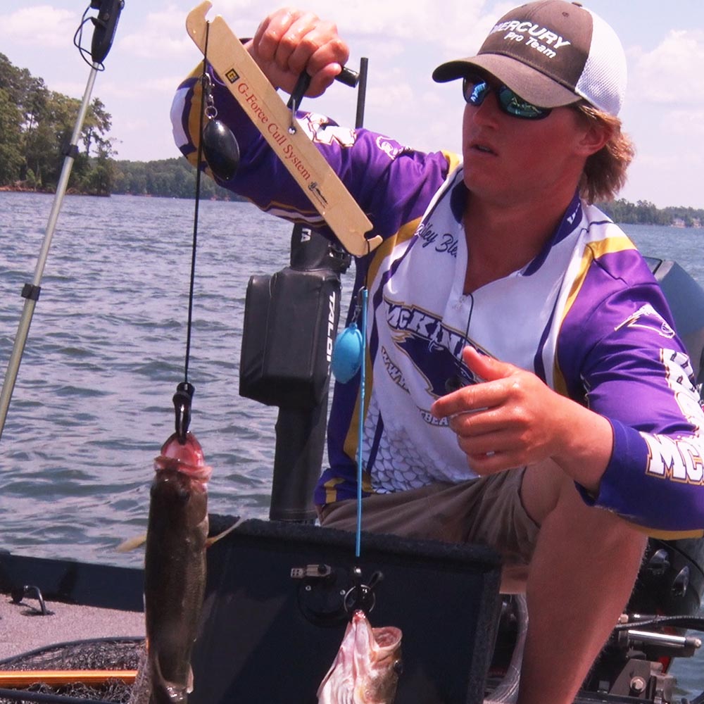 Must-Have T-H Marine Products for Fish Care During Tournament Competition -  Collegiate Bass Championship
