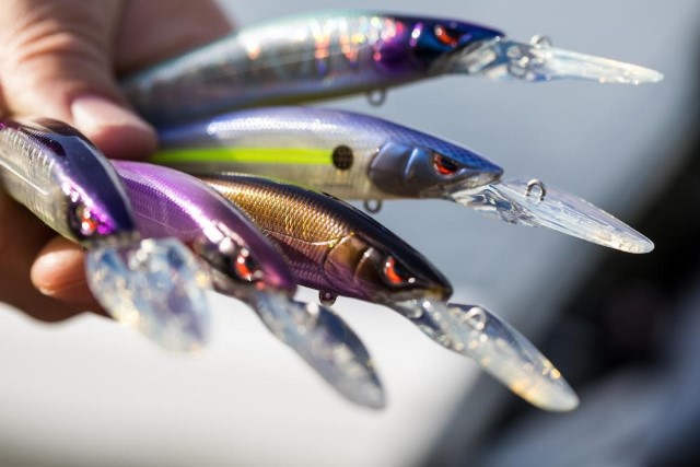 Put Baits Where The Fish Are With SPRO's New Deeper Running McStick 110+1 -  Collegiate Bass Championship