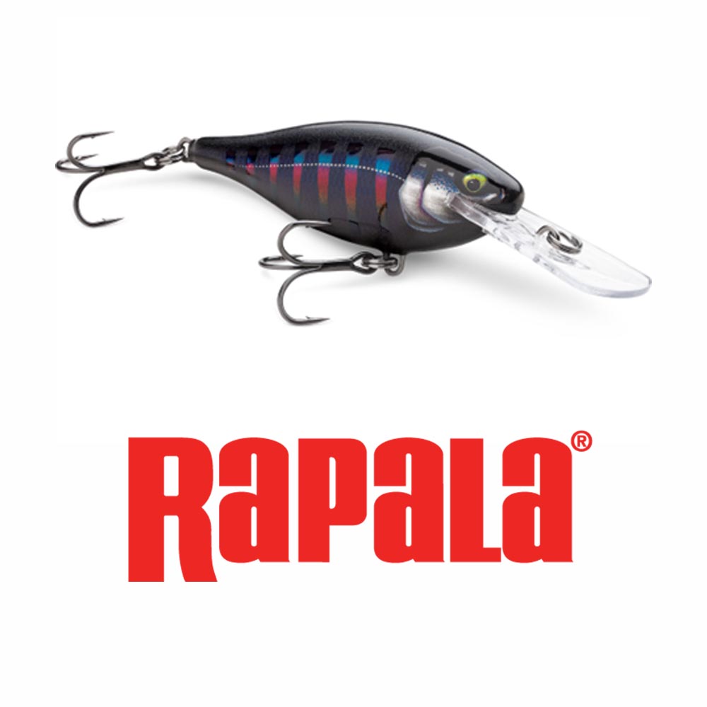 Up Your Shad Rap Game With The New Super Premium Shad Rap Elite -  Collegiate Bass Championship