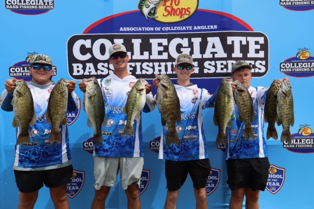 #TBT to a fun time catching largemouth, smallmouth, and spotted bass at Pickwick Lake during the Pickwick Slam earlier this year.

#BassProShops #PickwickLake #VisitTheShoals #WeAreCollegiateBass